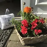Pensjonat Frohsinn Auf Ruegen Sellin (Rugen)