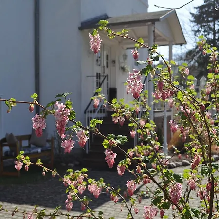 Pensionat Frohsinn Auf Ruegen 4*