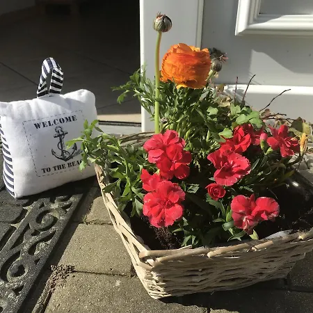 בית הארחה Frohsinn Auf Ruegen Sellin (Rugen)