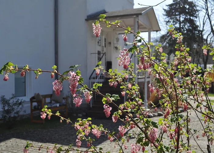 Casa de hóspedes Frohsinn Auf Ruegen 4*